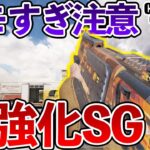 超強化されたSG使って新害悪戦術試したら敵ドン引きしてて泣いた【CoDモバイル】【Tanaka90】