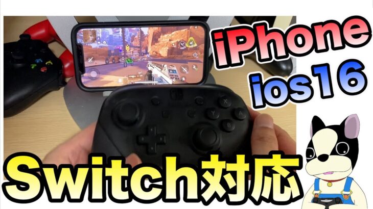 iPhoneでSwitchプロコン設定方法と注意事項の解説/ios16以上限定です。2022年版