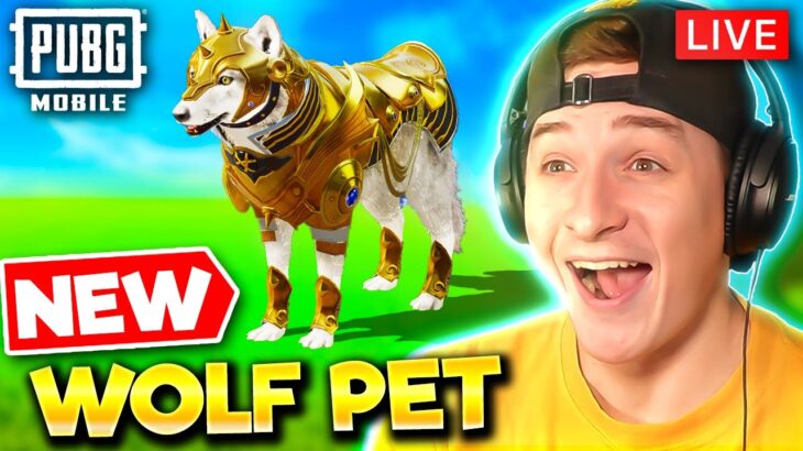 NEW WOLF PET CRATE OPENING! PUBG MOBILE LIVE