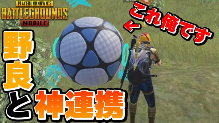 【PUBGモバイル】野良と新要素を使った連携で大盛り上がりするも、本人はお亡くなりにｗｗ【PUBGMOBILE】