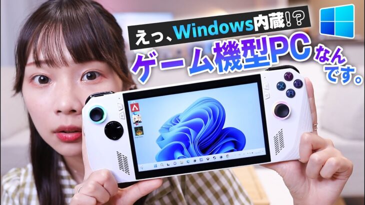 【ROG ALLY】windowsOSを内蔵した携帯ゲーム機を開封＆ゲームプレイしてみた！！【自腹購入】