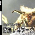 【MHR:SB 】激昂したラージャン 操虫棍 ソロ 2’26(捕獲) / Furious Rajang Insect Glaive Solo