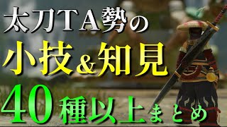 TAでも使うサンブレイク太刀の小技・テクニックを基本から応用まで思い付く限り紹介【MHRiseサンブレイク】