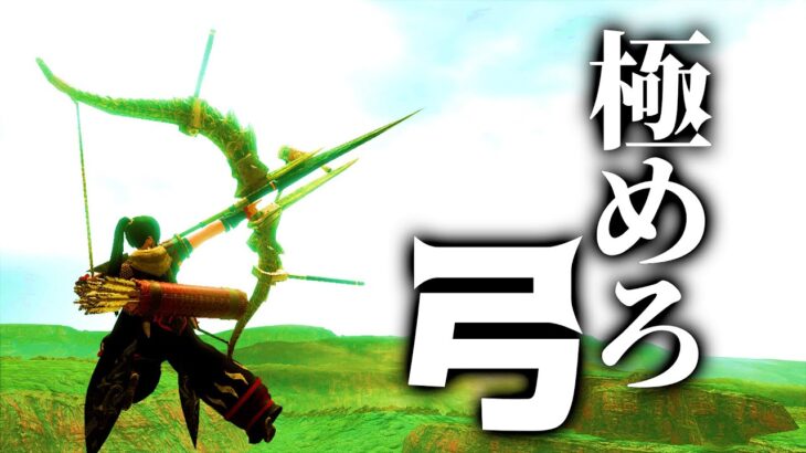 【報酬うまうま】弓を練習するのに最適なクエストはこれだと思う！連射・貫通・拡散オススメ練習装備【モンスターハンターライズ サンブレイク】