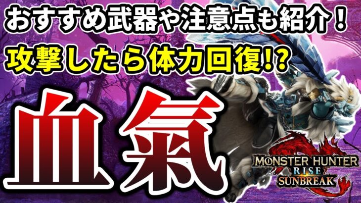 今さら聞けない！？攻撃しながら回復できる「血氣」のスキル効果とおすすめの使い方を徹底解説【モンスターハンターライズ：サンブレイク】