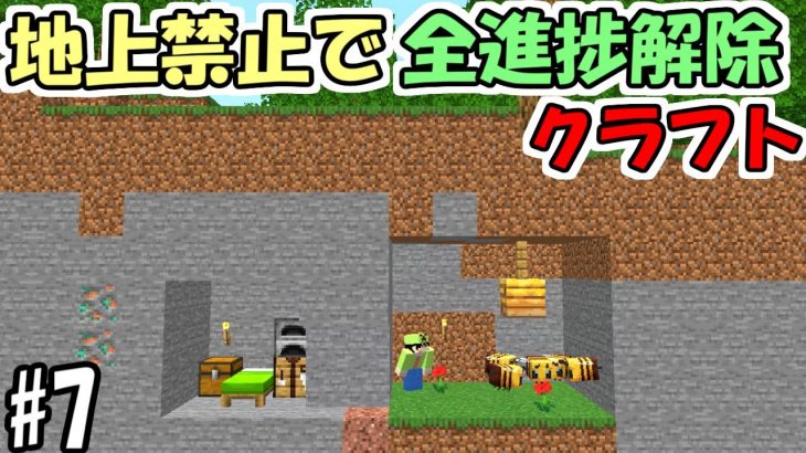 【マインクラフト】#7 地上禁止で全進捗解除クラフト　～ミツバチ畑つくり～【マイクラ】