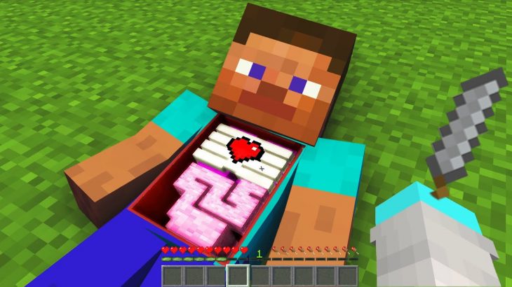 【マイクラ】色んなモブが手術できるマインクラフト？！😱【まいくら・マインクラフト】