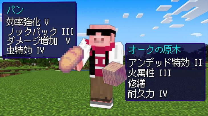 【マイクラ】なんでもエンチャントできる世界でサバイバル！