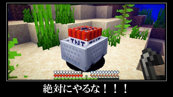 マインクラフトの隠されたバグ裏技＆小ネタ１１選