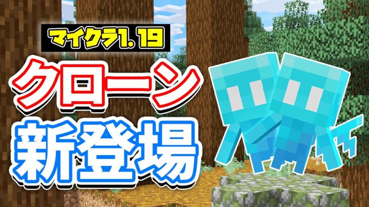 【マイクラ1.19】アレイの複製方法が新登場！＆統合版でバイオームを探すコマンド(/locate biome)が追加！・プレイヤー通報機能など【マインクラフト】統合版1.19.10ワイルドアップデート