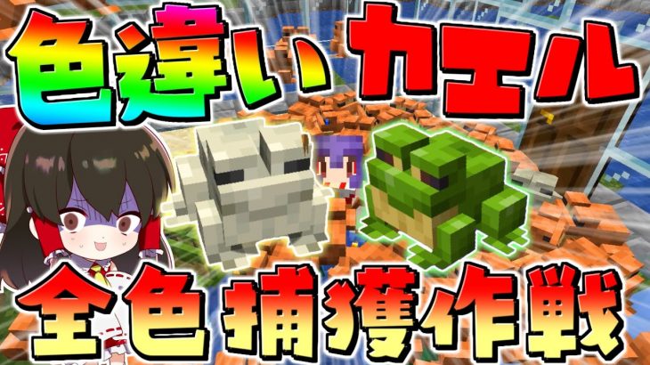 【マイクラ】色違いの白色カエルと緑色カエル全色そろえるまで終わりまテン！！【ゆっくり実況/マインクラフト/Minecraft】