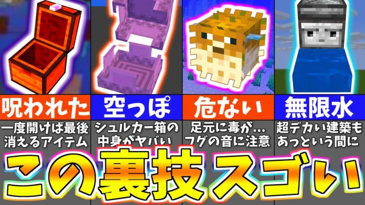 マイクラ 上級者でも知らないおもしろバグ＆裏技６選【まいくら・マインクラフト】