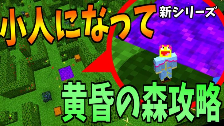 【新シリーズ】小人になって黄昏の森を攻略するサバイバル!!-小人黄昏サバイバル #1 【Minecraft】【マインクラフト】