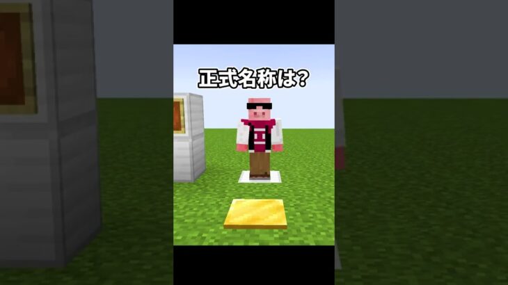 このアイテムの正式名称は？【マイクラデスクイズ】#shorts