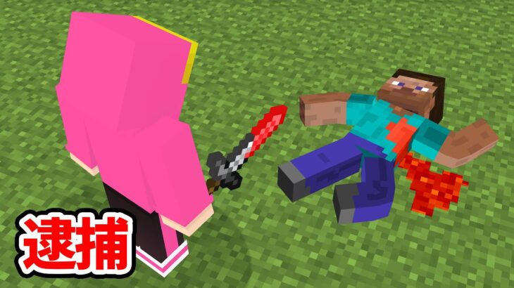 犯罪禁止！マインクラフト【マイクラ】