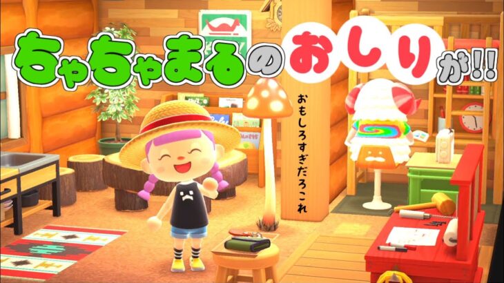 【あつ森】メインは虫捕りなのに、ちゃちゃまるに全部もってかれた件について【ゆっくり実況】【あつまれどうぶつの森】