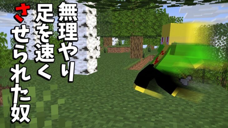 無理やり足を速くさせられた奴【マイクラ】