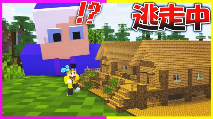 マイクラ逃走中で自分だけ小人になって逃げきってみたww🤣【まいくら/マインクラフト】