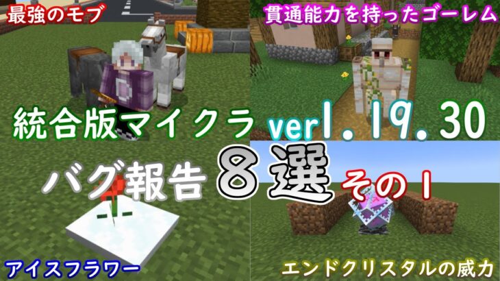 【統合版マイクラ】Ver1.19.30 マイクラのバグ8選～その1～ 統合版マインクラフト・バグ報告会【Switch/Win10/PE/PS4/Xbox】