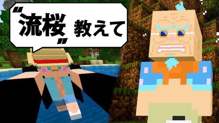 武装色の覇気を極めた結果【マイクラ】【ワンピース】