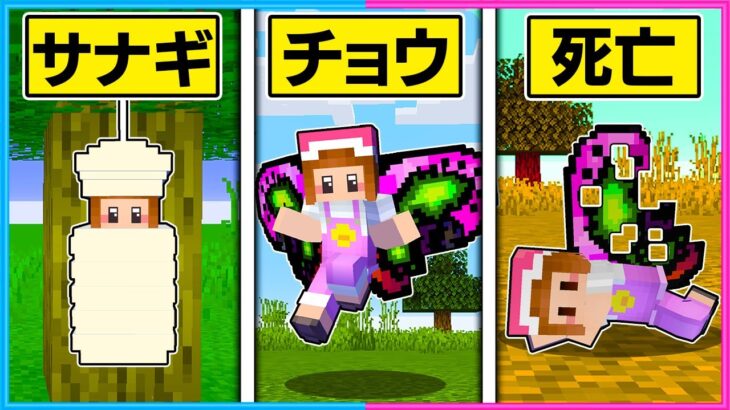 チョウになって生活するマインクラフト🦋【 マイクラ / Minecraft 】【ゲーム実況】