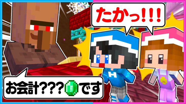 あやしい男に詐欺にあうマインクラフト😱【 マイクラ / Minecraft 】