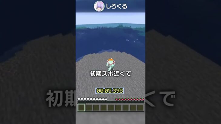 【1.19】日本最速でエンドラ討伐しました！！！！！【マイクラ豆知識 解説 裏技】