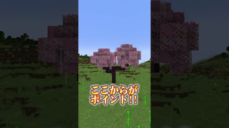 マイクラでかっこいい桜の木を作る方法【マインクラフト】#shorts