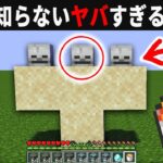 【海外検証】謎が多すぎるマインクラフト10選【ゆっくり実況】【マイクラ】