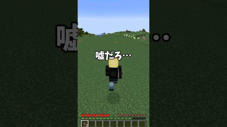 【衝撃映像】誰もが感動する奇跡の神シード値！？【マイクラ】【Minecraft】