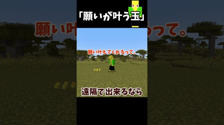 たぶん間違ってる願い玉【マイクラ】＃Shorts