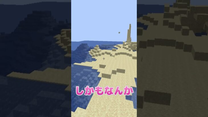 白を見てはいけないマインクラフト