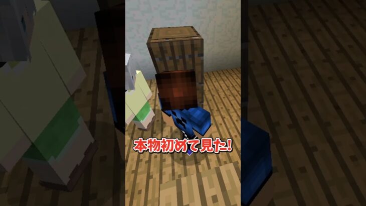 【意味がわかると怖い話】お揃いのバッグ【マイクラ】