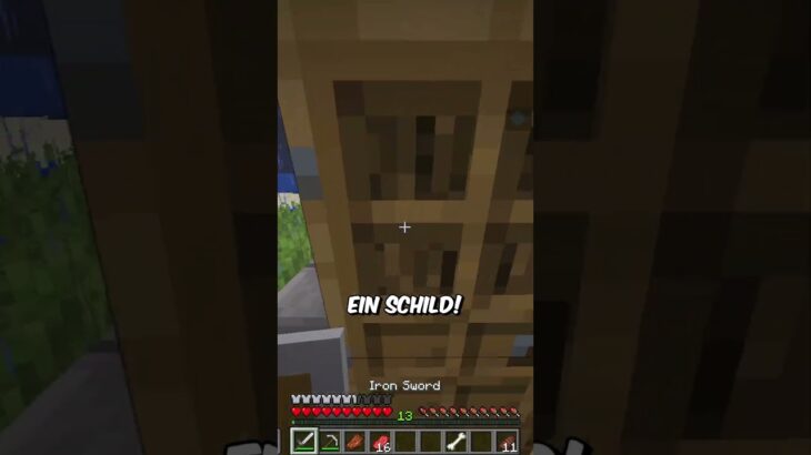 Wie HOCH ist die CHANCE für SOWAS?!… #toobad #minecraft #diesereinefreund