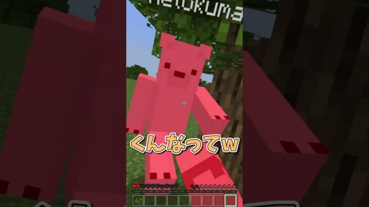 リスポーン勝負 – 梯子から落ちた方の勝ち！【マイクラ】