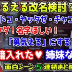 実は名字が欲しいえるえると勘違いに巻き込まれるちーちゃん 　面白シーン5連続【勇気ちひろ/える/にじさんじ/切り抜き/APEX】