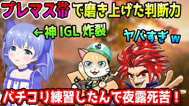 プレマス帯で磨き上げた判断力でチームを導くちーちゃん【勇気ちひろ/LEON代表/Pのらちゃん/渋谷ハル/常闇トワ/にじさんじ/切り抜き/APEX】