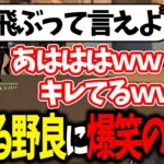 ゲーム内VCで怒る野良に対して爆笑する葛葉が面白過ぎたｗｗｗ【APEX/葛葉/にじさんじ/切り抜き】
