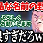 卑猥な名前の野良VCがあまりにも爽やか過ぎて大爆笑するひなーの【橘ひなの/切り抜き】
