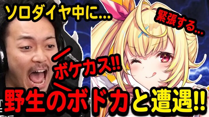 【APEX】ソロダイヤ中に野生のボドカさんに遭遇した結果ｗｗ【星川サラ/ボドカ/にじさんじ/切り抜き/APEX】