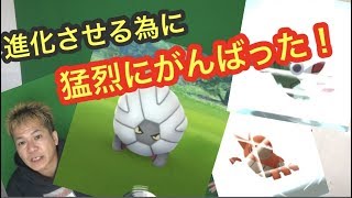 イベント最終日に結果を出せた！（ポケモンGO）