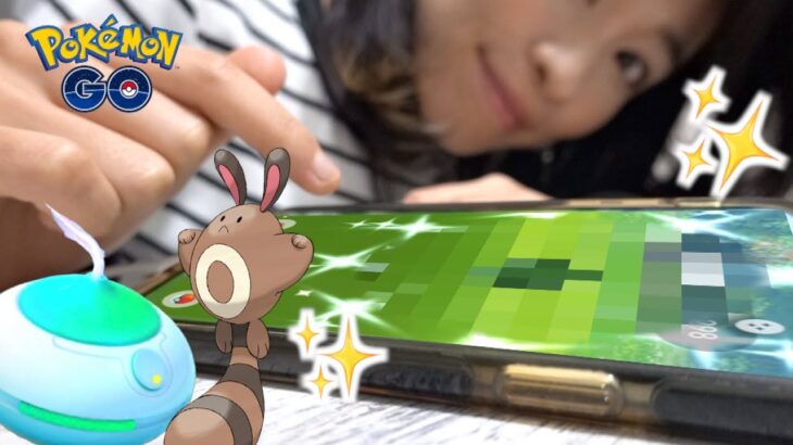 【ポケモンGO】おこうの日イベントで色違い確率UP！？6時間やってみた結果！