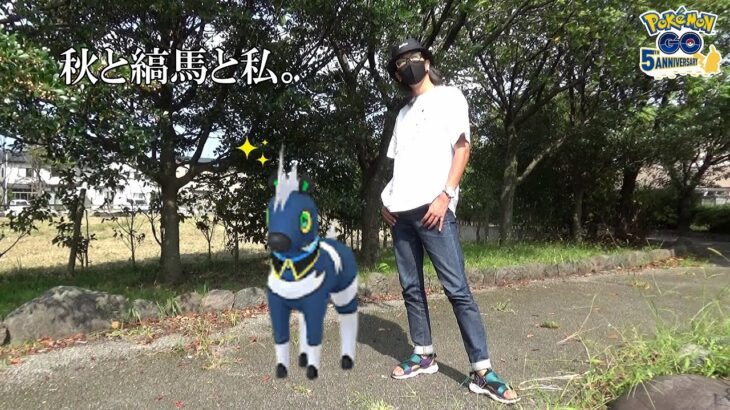 【ポケモンGO】色違い襟付きシママを捕獲せよ！イベント中に野生状況が変化！？色違い以外にも「今だから狙える」激アツポイントを解説しながら秋晴れの空の下で大冒険スペシャル！【ファッション5日目】