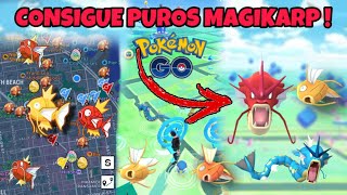 COMO CONSEGUIR PUROS MAGIKARP POKEMON GO #pokemongo #magikarp #gyarados #ipogo