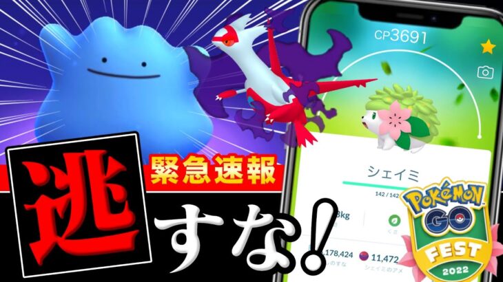 緊急限定イベントで超難関タスクに…まぼろしのポケモンシェイミの先行入手ができるGOフェス情報も！【ポケモンGO】