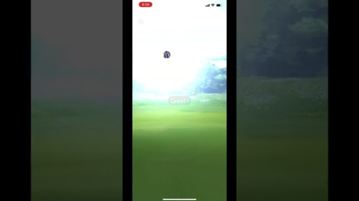 【ポケモンGO】ウルトラボールが実装されてる！