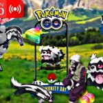 🚨EMPIEZA EL COMMUNITY DAY ZIGZAGOON GALAR🚨FULL polvo estelar PGSharp Pokémon GO #KakashiGO