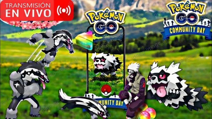 🚨EMPIEZA EL COMMUNITY DAY ZIGZAGOON GALAR🚨FULL polvo estelar PGSharp Pokémon GO #KakashiGO
