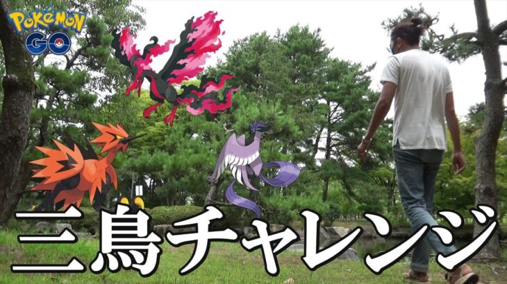 【ポケモンGO】再び強風ブースト発動！捕獲を目指すガラル三鳥チャレンジ！むしタイプを避け散らして15分以内に三鳥を出現させろスペシャル！【20回目の挑戦】