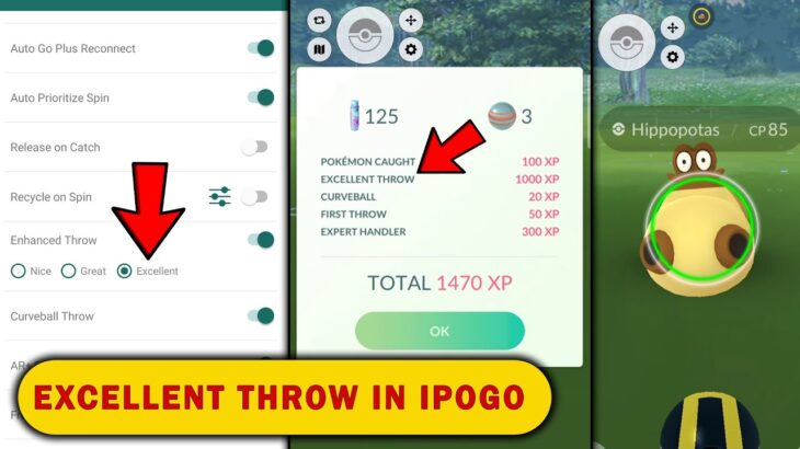 How To Do Excellent Throw in IPogo | IPogo Enhanced Throw Fix (Excellent with curve)